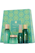 ForestVeda Calming Discovery Set