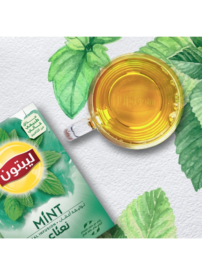 Lipton Herbal Infusion Tea Mint, 20 Teabags 1.8grams Pack of 20