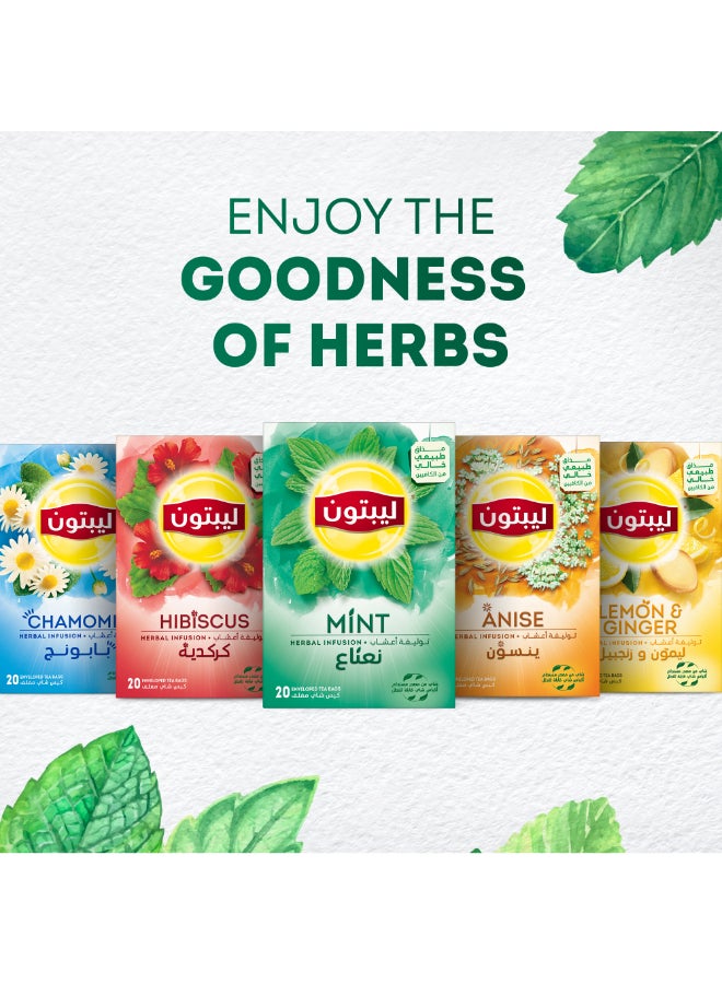 Lipton Herbal Infusion Tea Mint, 20 Teabags 1.8grams Pack of 20